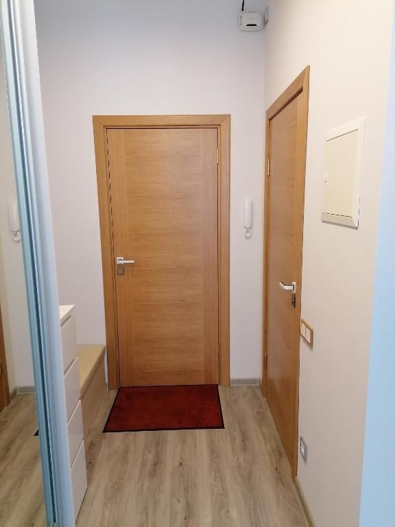 Апартаменты Palm apartment studio Riga Рига